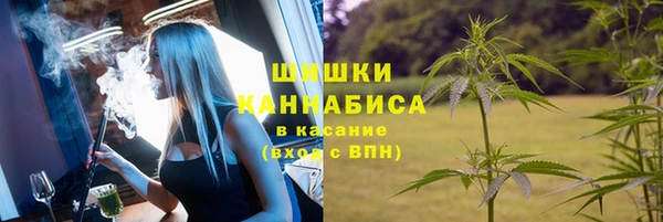 ешки Заводоуковск