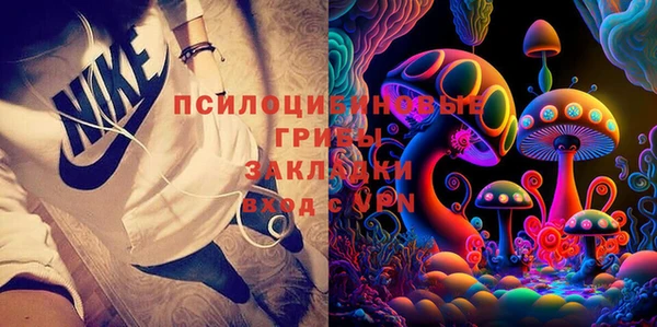 ешки Заводоуковск