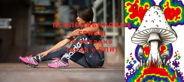 гашиш Ельня